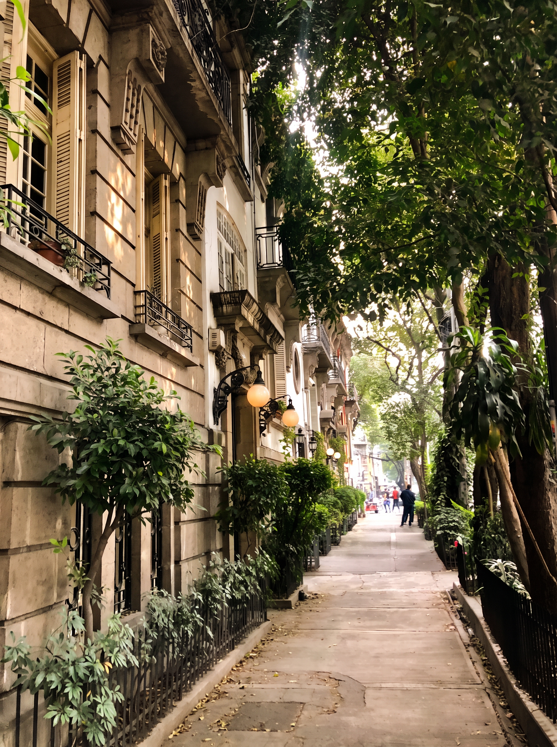 Calles de la Roma Norte